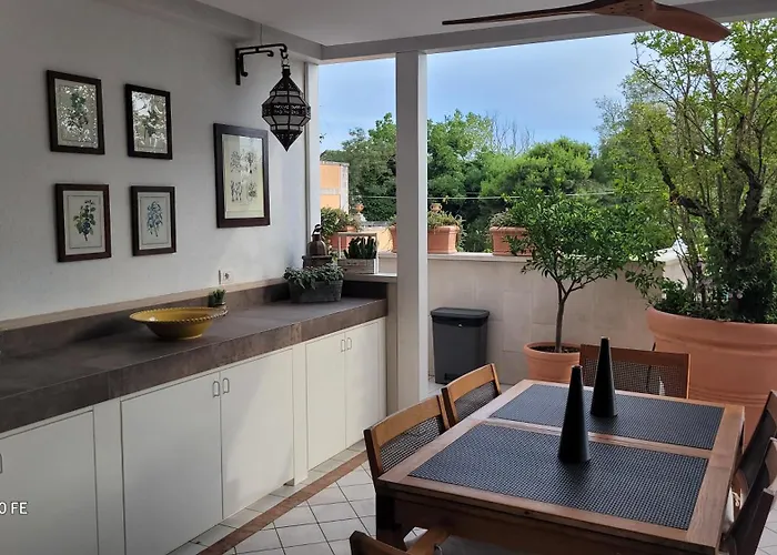 Gilda * 로코로톤도